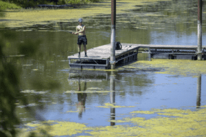 Person fishing in a body of water